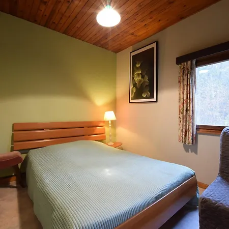 Detached Chalet In Lovely Hiking Region , Cleaning Included *